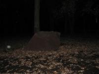 Chicago Ghost Hunters Group investigates Robinson Woods (177).JPG